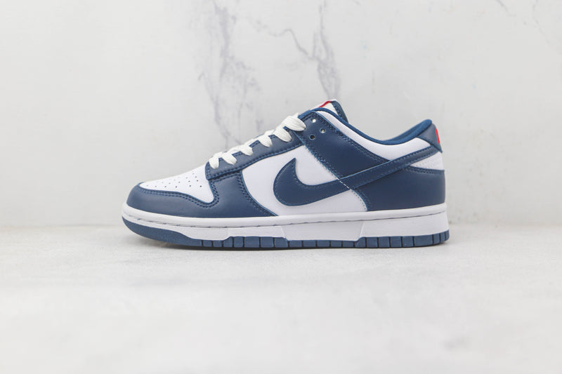 Nike Dunk Low Valerian Blue